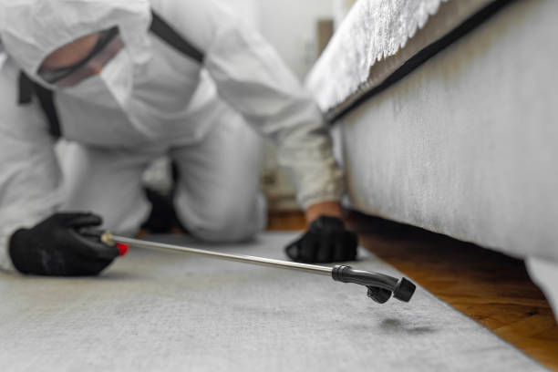 Professional Bed Bug Control technician working in Soldotna, AK