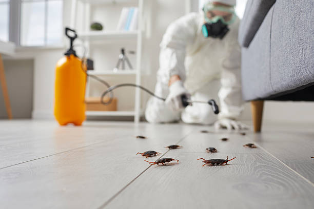 Trusted Termite Control service in Soldotna, AK - Nex Pest Control