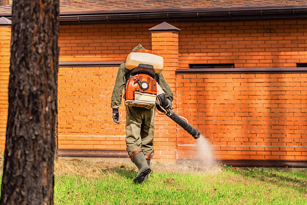 Trusted Bed Bug Control service in Soldotna, AK - Nex Pest Control